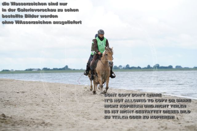 s_K3F05003.JPG